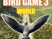 Bird Game 3: World