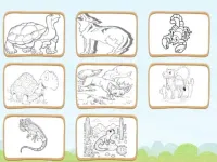 Desert Animals Coloring Book