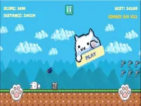 Run Cat Run