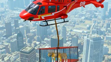 Helicopter